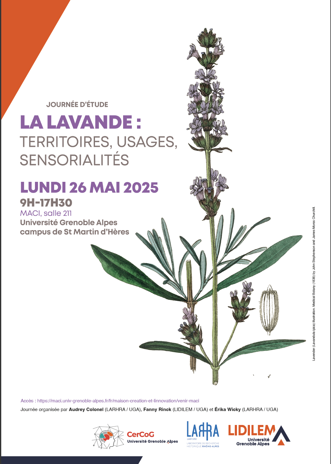 Journée d'étude - La lavande : territoires, usages, sensorialités